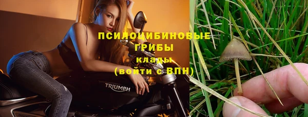 герыч Арсеньев