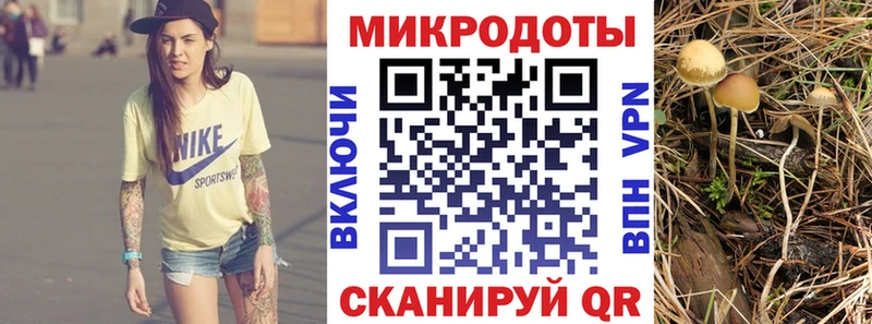 hydra зеркало Грайворон Псилоцибиновые грибы MAGIC MUSHROOMS