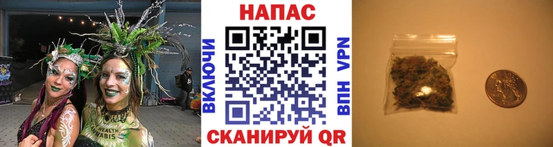 Бошки марихуана конопля Грайворон